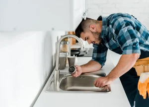 Plumbing and Plumbers